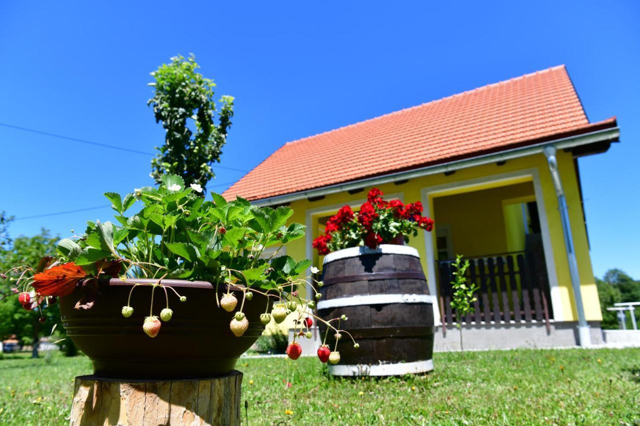 Apartman Vito Saborsko Exterior foto